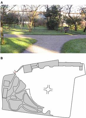 Path Learning From Navigation in Aging: The Role of Cognitive Functioning and Wayfinding Inclinations